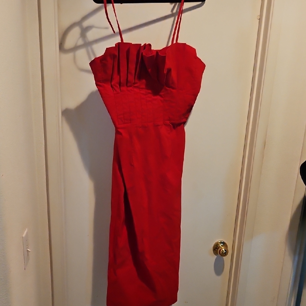 Violated Red Scalloped Dress In XXL